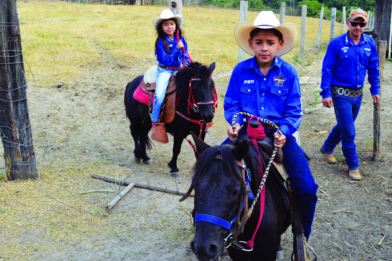 Pôneis entram para o mercado de equitação em Rondônia