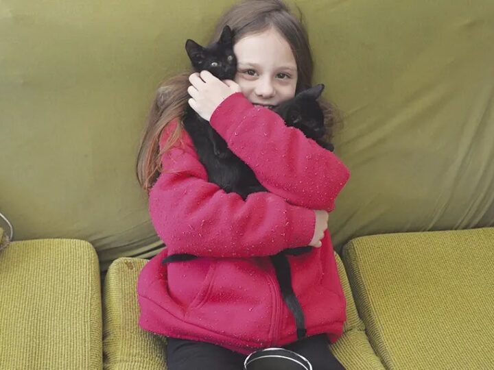 GENEROSIDADE Menina que sonha em ser protetora de animais usa mesada para ajudar cães e gatos abandonados