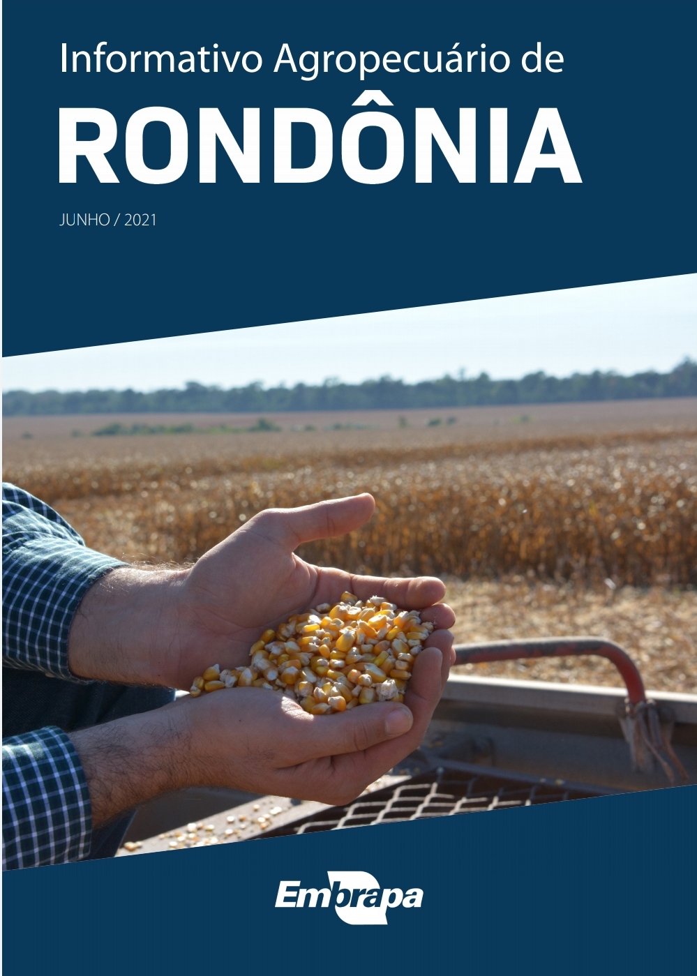 O valor bruto da produção agropecuária de Rondônia deve ser quase 13% maior em 2021