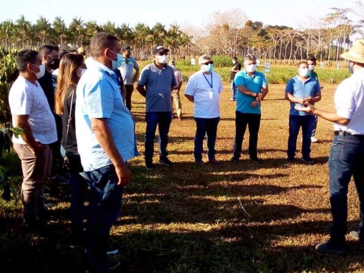 Embrapa Rondônia firma parceria com município do Amazonas para o fortalecimento da cafeicultura