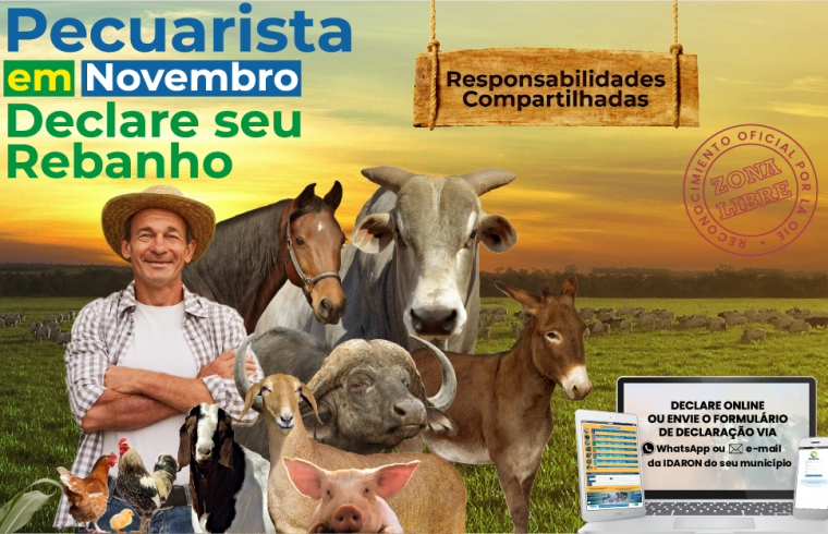 Segunda etapa de declaração de rebanhos tem início dia 1º de novembro em Rondônia