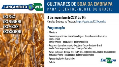 Embrapa lança quatro cultivares de soja mais produtivas para o Centro-Norte