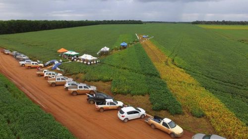 Vilhena: Multinacional do agronegócio anuncia instalação no município