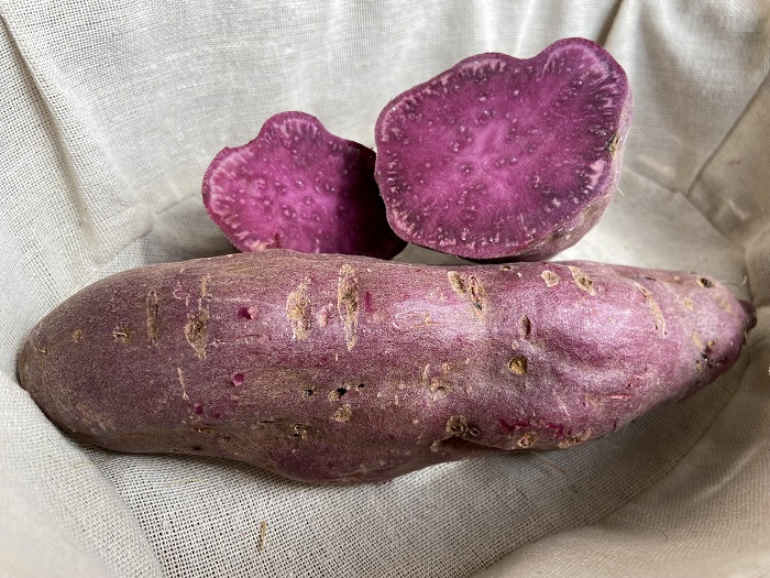 Batatas-doces coloridas e biofortificadas atendem demanda do setor produtivo