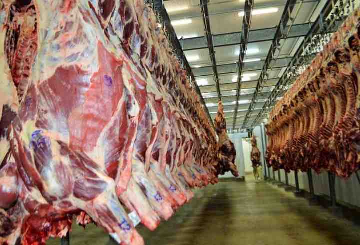 Exportação de carne bovina de Rondônia aponta para novo recorde em 2022