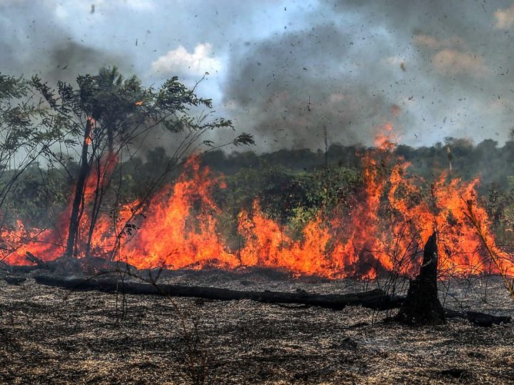 Porto Velho: Campanha contra queimadas conscientizará população nos próximos meses