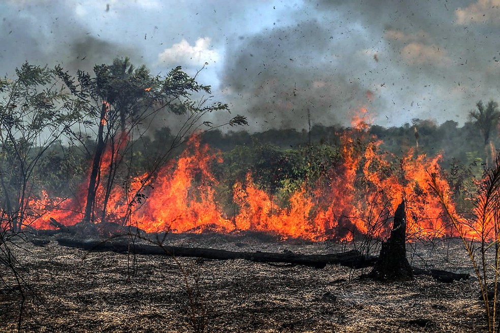 Porto Velho: Campanha contra queimadas conscientizará população nos próximos meses