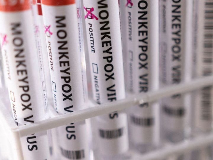 Ministério da Saúde confirma mais dois casos de varíola dos macacos