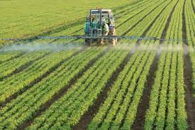 Comissão adia votação de projeto que acelera registro de agrotóxicos