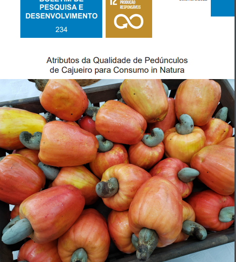 Caju de mesa: estudo da Embrapa estabelece os parâmetros de qualidade do fruto para consumo in natura