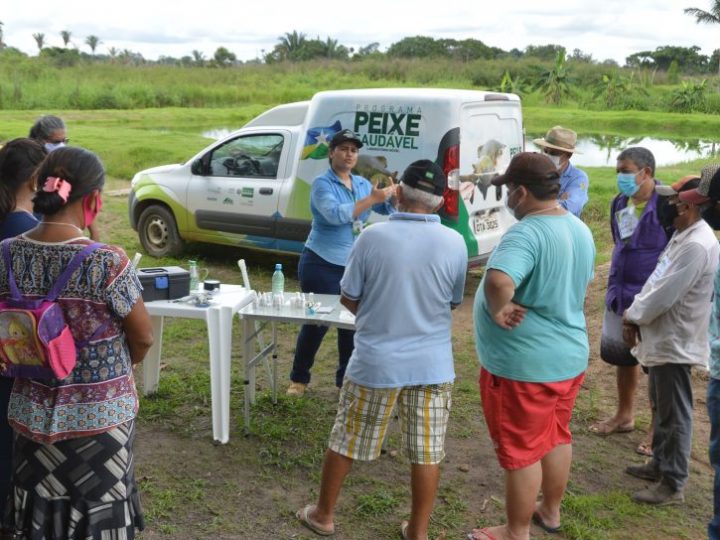 Fortalecimento da agricultura familiar marca ações da Emater Rondônia, em 2022