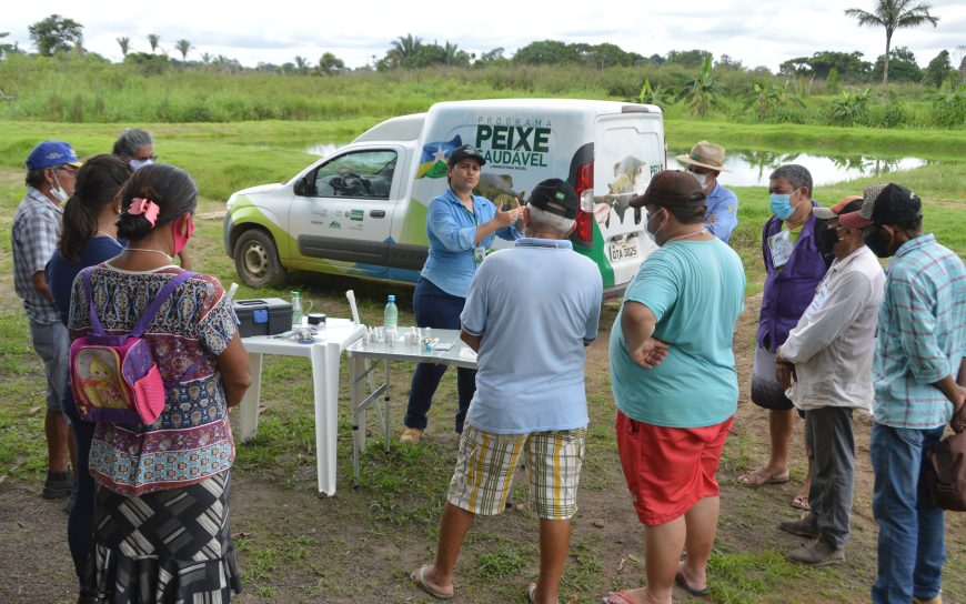 Fortalecimento da agricultura familiar marca ações da Emater Rondônia, em 2022