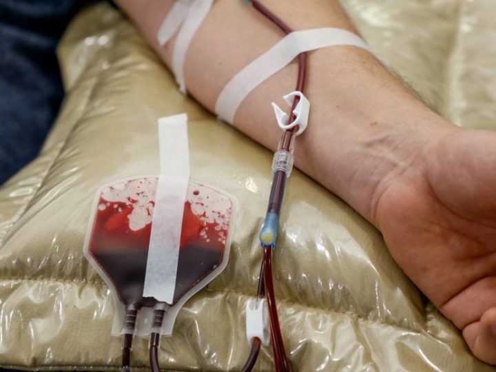 Fhemeron aponta necessidade de doação de sangue durante o final de ano