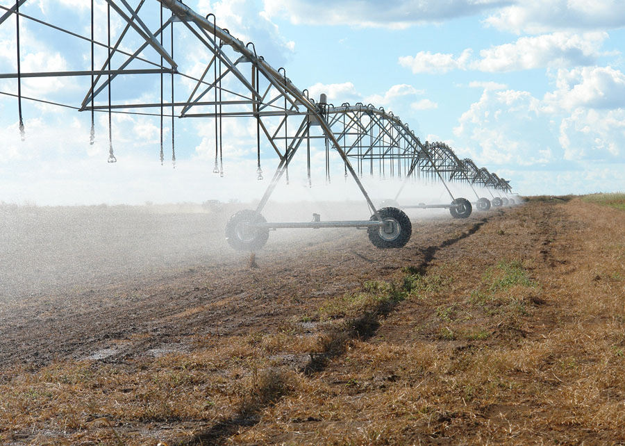 Sistema de Classificação de Terras para Irrigação agora abrange soja e arroz em todo Brasil