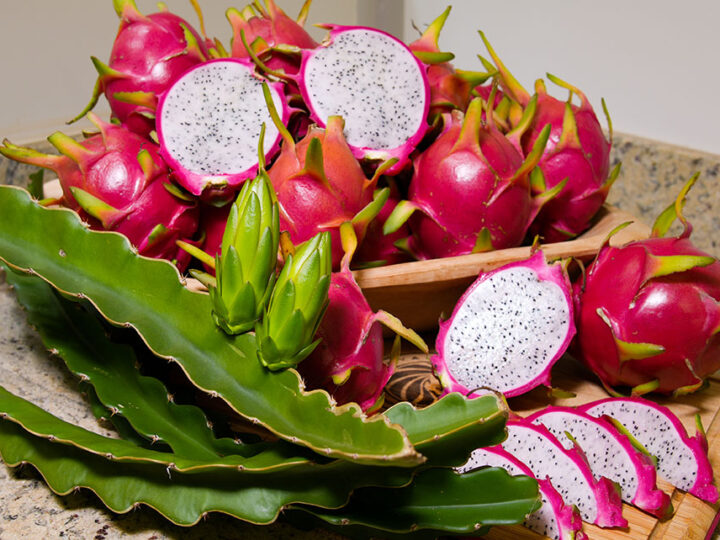 Cientistas desenvolvem cultivares de pitaya geneticamente superiores