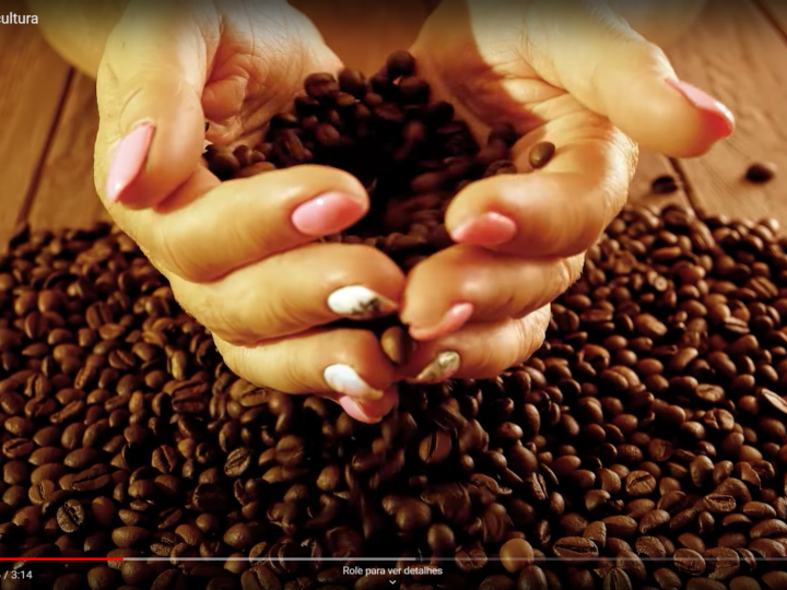 Mulheres cafeicultoras contam suas experiências em vídeo lançado pela Embrapa