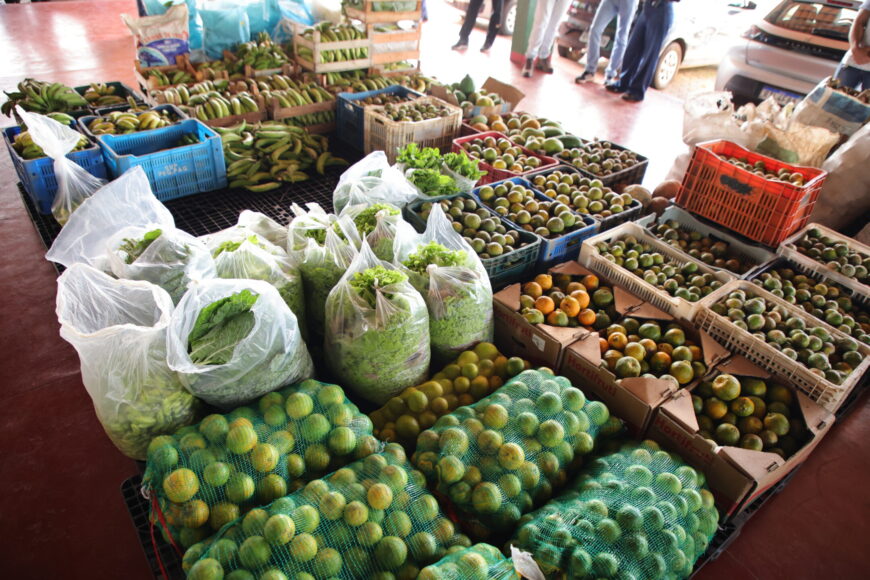 Porto Velhgo: Programa Estadual de Aquisição de Alimentos faz a primeira compra da agricultura familiar para doação