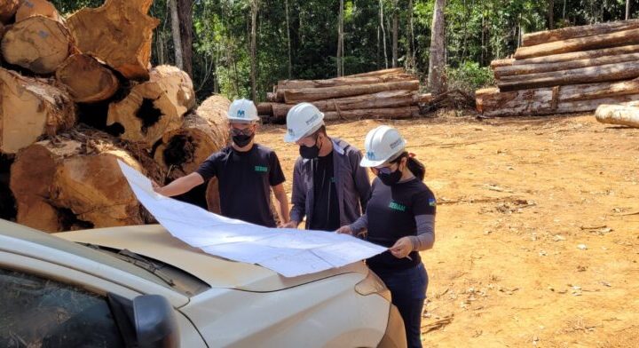 Planos de Manejo Florestal da Sedam garantem colheita florestal e reforçam a economia local