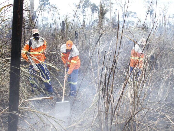 “Operação Verde Rondônia” combateu mais de mil focos de incêndios no Estado