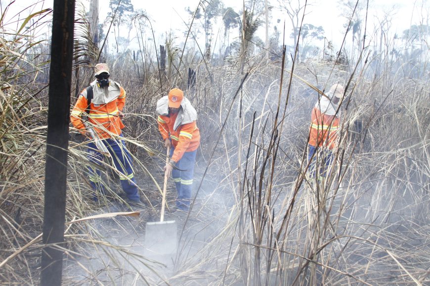 “Operação Verde Rondônia” combateu mais de mil focos de incêndios no Estado