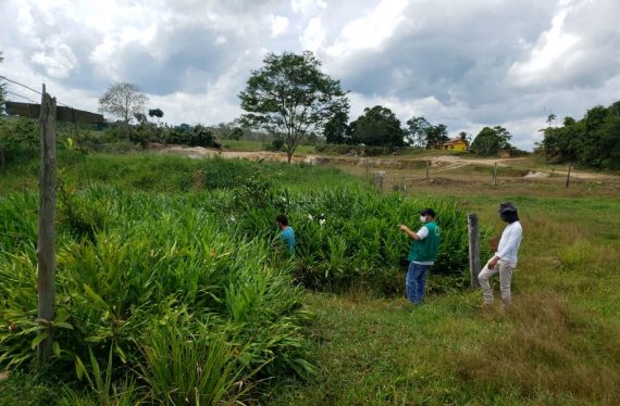 Sedam desenvolve trabalhos para controle efetivo do desmatamento em Rondônia