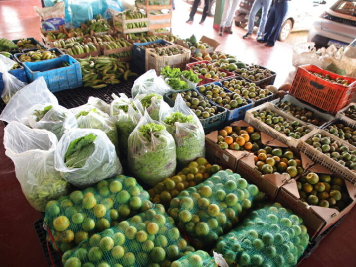 Governo de Rondônia recebe mais de R$ 2,8 milhões para compra e doação de produtos da agricultura familiar
