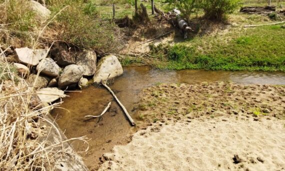 Cerejeiras: Governo de Rondônia investe em recuperação das nascentes e matas ciliares da bacia do rio Araras