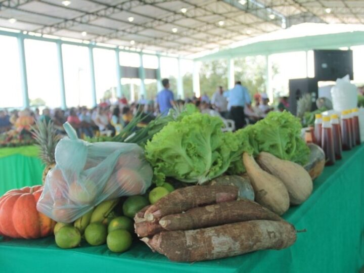 Profissionais da área da agronomia garantem qualidade e produção agrícola em Rondônia