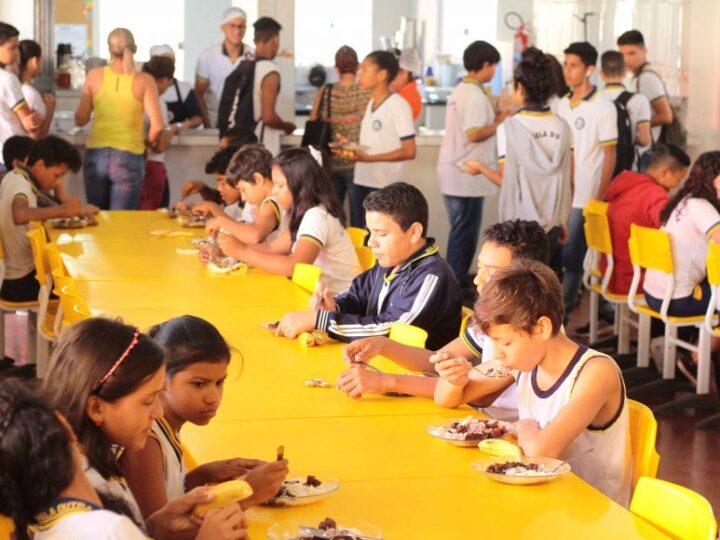 Relatório reforça transparência de dados sobre a execução do Programa Nacional de Alimentação Escolar em Rondônia