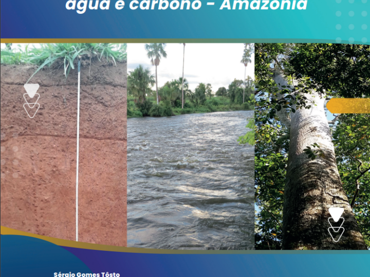 Livro aborda técnicas de serviços ambientais e ecossistêmicos na Amazônia