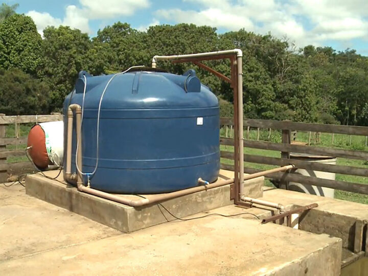 Pequenos bovinocultores podem economizar R$ 1,45 bi anuais com biodigestores