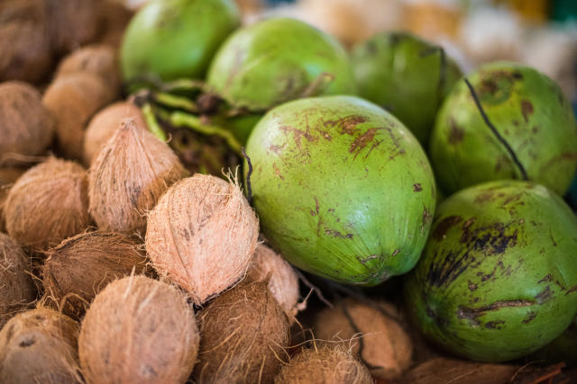Embrapa busca parceiros para desenvolvimento de soluções para coco e citros
