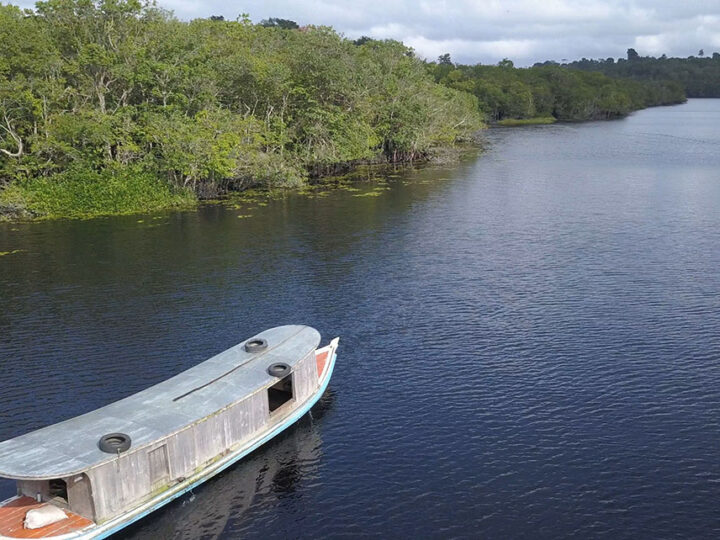 Amazônia recebe menos investimento em pesquisas sobre biodiversidade do que outras regiões do País