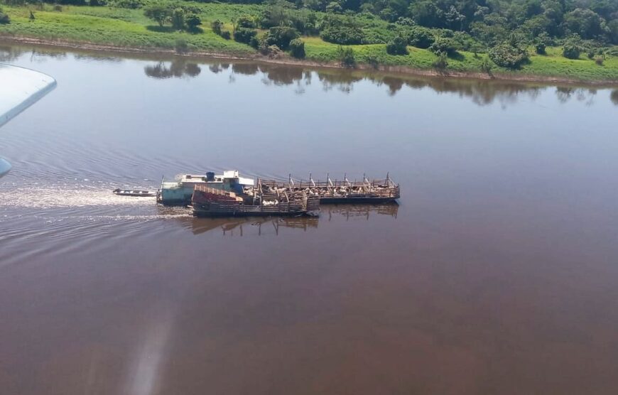 Fiscalização aérea intensifica controle sanitário nas fronteiras de Rondônia