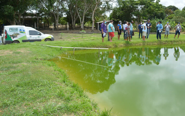 Governo de Rondônia garante a regularidade da oferta de peixes durante o período de defeso