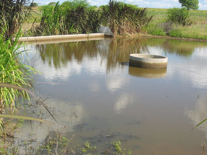 Barragens subterrâneas geraram renda excedente de mais de R$ 7 mil anuais a agricultores